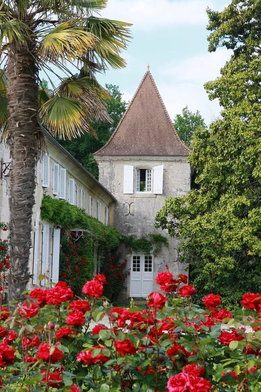 Chateau De Puyrigaud Bed and Breakfast Léoville Exteriör bild